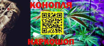 прущие крисы Донецк